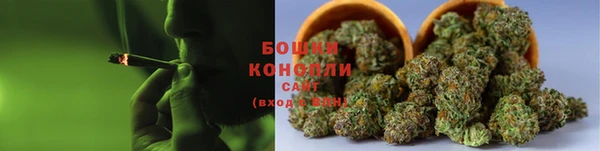 дмт Ладушкин